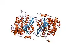 2afu: Crystal structure of human glutaminyl cyclase in complex with glutamine t-butyl ester