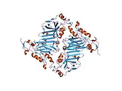 2an6: Protein-peptide complex