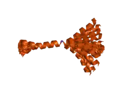 2b19: Solution Structure of mammalian tachykinin peptide, Neuropeptide K