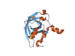 2b3g: p53N (fragment 33-60) bound to RPA70N