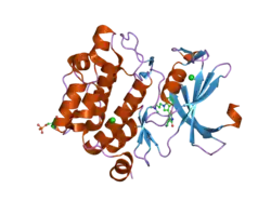 2bik: HUMAN PIM1 PHOSPHORYLATED ON SER261