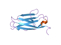 2bk8: M1 DOMAIN FROM TITIN