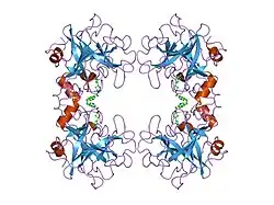 2bm2: HUMAN BETA-II TRYPTASE IN COMPLEX WITH 4-(3-AMINOMETHYL-PHENYL)-PIPERIDIN-1-YL-(5-PHENETHYL- PYRIDIN-3-YL)-METHANONE