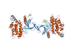 2buj: CRYSTAL STRUCTURE OF THE HUMAN SERINE-THREONINE KINASE 16 IN COMPLEX WITH STAUROSPORINE