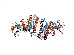 2c5l: STRUCTURE OF PLC EPSILON RAS ASSOCIATION DOMAIN WITH HRAS