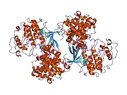 2c5v: DIFFERENTIAL BINDING OF INHIBITORS TO ACTIVE AND INACTIVE CDK2 PROVIDES INSIGHTS FOR DRUG DESIGN