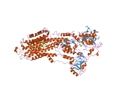 2c88: CRYSTAL STRUCTURE OF (SR) CALCIUM-ATPASE E2(TG):AMPPCP FORM