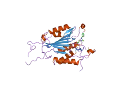 2cnn: CRYSTAL STRUCTURES OF CASPASE-3 IN COMPLEX WITH AZA-PEPTIDE EPOXIDE INHIBITORS.