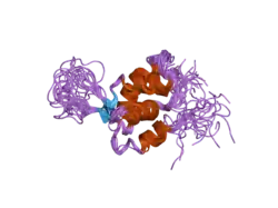 2d2w: Solution structure and Dynamics of the DNA-Binding Domain of Myocyte Nuclear Factor