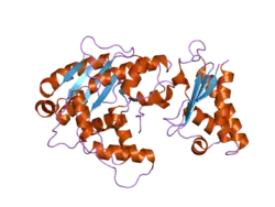 2d5r: Crystal Structure of a Tob-hCaf1 Complex