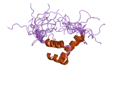 2da7: Solution structure of the homeobox domain of Zinc finger homeobox protein 1b (Smad interacting protein 1)