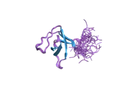 2da9: Solution structure of the third SH3 domain of SH3-domain kinase binding protein 1 (Regulator of ubiquitous kinase, Ruk)