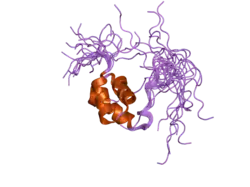 2dag: Solution Structure of the First UBA Domain in the Human Ubiquitin Specific Protease 5 (Isopeptidase 5)