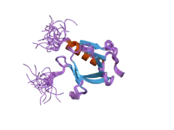 2dhi: Solution structure of the PH domain of Evectin-2 from mouse
