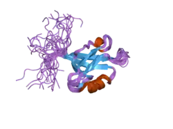 2dls: Solution structure of the PDZ domain of human Rho guanine nucleotide exchange factor 11