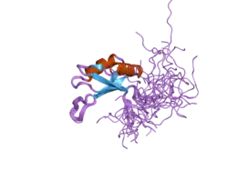 2do4: Solution structure of the RNA binding domain of squamous cell carcinoma antigen recognized by T cells 3