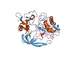 2e2d: Flexibility and variability of TIMP binding: X-ray structure of the complex between collagenase-3/MMP-13 and TIMP-2