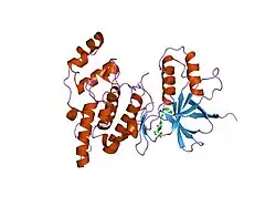 2exc: Inhibitor complex of JNK3
