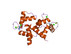 2f3y: Calmodulin/IQ domain complex