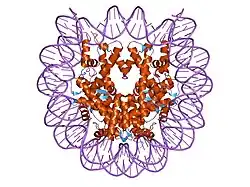 2f8n: 2.9 Angstrom X-ray structure of hybrid macroH2A nucleosomes