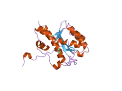 2fby: WRN exonuclease, Eu complex