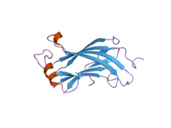 2fop: The crystal structure of the N-terminal domain of HAUSP/USP7 complexed with mdm2 peptide 147-150