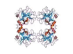 2fww: human beta-tryptase II complexed with 4-piperidinebutyrate to make acylenzyme
