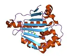 2fwz: Structure of human Hsp90-alpha bound to the potent water soluble inhibitor PU-H71