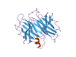 2g3z: Crystal structure of Transthyretin mutant I84A at low pH