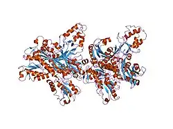 2g4c: Crystal Structure of human DNA polymerase gamma accessory subunit