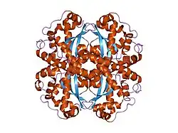 2gds: Interrupting the Hydrogen Bonding Network at the Active Site of Human Manganese Superoxide Dismutase