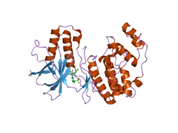 2ghl: Mutant Mus musculus p38 kinase domain in complex with inhibitor PG-874743