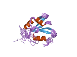 2hgl: NMR structure of the first qRRM domain of human hnRNP F