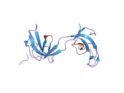 2hkn: Crystal structure of the CAP-Gly domain of human Dynactin-1 (p150-Glued)