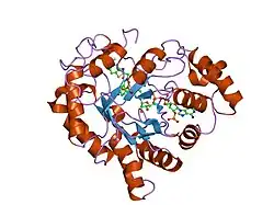 2hvn: Human Aldose Reductase-zopolrestat complex obtained by cocrystallisation after one day (1day_cocryst)