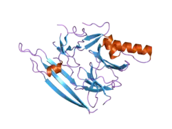 2hz6: The crystal structure of human IRE1-alpha luminal domain