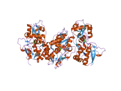2i0b: Crystal structure of the GluR6 ligand binding core ELKQ mutant dimer at 1.96 Angstroms Resolution