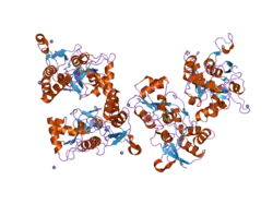 2i3v: Measurement of conformational changes accompanying desensitization in an ionotropic glutamate receptor: Structure of G725C mutant