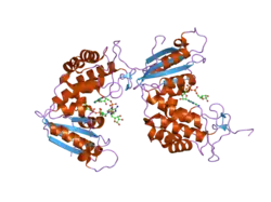 2i67: Structural Basis for the Mechanistic Understanding Human CD38 Controlled Multiple Catalysis