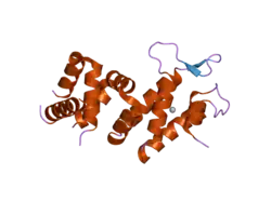 2iqc: Crystal structure of Human FancF Protein that Functions in the Assembly of a DNA Damage Signaling Complex