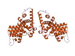 2ivx: CRYSTAL STRUCTURE OF HUMAN CYCLIN T2 AT 1.8 A RESOLUTION (CASP TARGET)