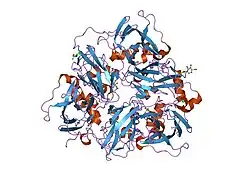 2j5w: CERULOPLASMIN REVISITED: STRUCTURAL AND FUNCTIONAL ROLES OF VARIOUS METAL CATION BINDING SITES