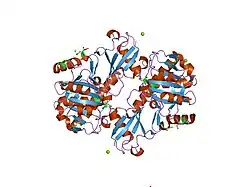 2j7q: CRYSTAL STRUCTURE OF THE UBIQUITIN-SPECIFIC PROTEASE ENCODED BY MURINE CYTOMEGALOVIRUS TEGUMENT PROTEIN M48 IN COMPLEX WITH A UBQUITIN-BASED SUICIDE SUBSTRATE
