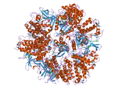 2jbp: PROTEIN KINASE MK2 IN COMPLEX WITH AN INHIBITOR (CRYSTAL FORM-2, CO-CRYSTALLIZATION)