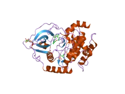 2jdv: STRUCTURE OF PKA-PKB CHIMERA COMPLEXED WITH A-443654