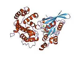 2ngr: TRANSITION STATE COMPLEX FOR GTP HYDROLYSIS BY CDC42: COMPARISONS OF THE HIGH RESOLUTION STRUCTURES FOR CDC42 BOUND TO THE ACTIVE AND CATALYTICALLY COMPROMISED FORMS OF THE CDC42-GAP.