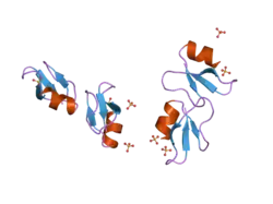 2nlg: Human beta-defensin-1 (Mutant Lys22Glu)