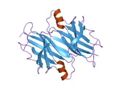 2noy: Crystal structure of transthyretin mutant I84S at PH 7.5