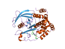 2nt7: Crystal structure of PTP1B-inhibitor complex
