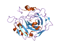 2nxr: Structural effects of hydrophobic mutations on the active site of human carbonic anhydrase II